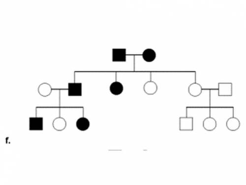 What type of inheritance is shown on this pedigree?

A. Dominant
B. Recessive
C. Sex-Linked Recess