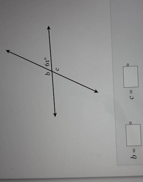 Find the measure of the missing angles ​