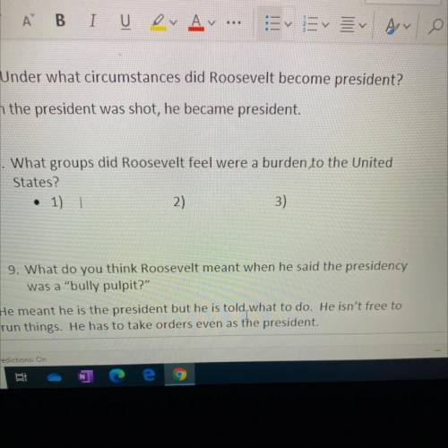What groups did Roosevelt feel were a burden to the United
States?
