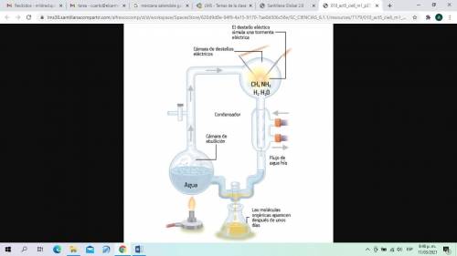 Examina la figura que muestra el aparato utilizado por Miller y Urey para simular la evolución preb