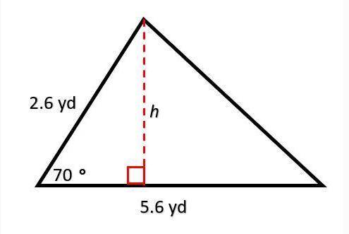 What is the area of the triangle to the nearest tenth?