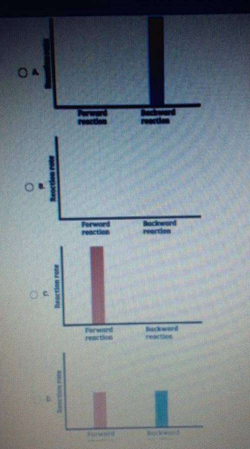 Which bar graph shows the reaction rates for a reversible reaction that has stopped?​