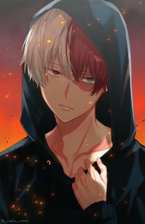 Who else agrees that Todoroki is hot?
