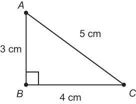 What is the measure of angle A?

Enter your answer as a decimal in the box. Round only your final