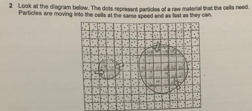 To survive, both cells need to have atleast one particle of raw material in each of the grid square