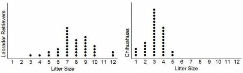 The following dot plot represents the litter sizes of two random samples of dogs: labrador retrieve