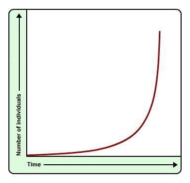 What is true of the population shown in this graph?

A) The population has increased until it reac