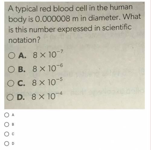 HELP PLEASEEE!!! ILL GIVE BRAINLISTS!