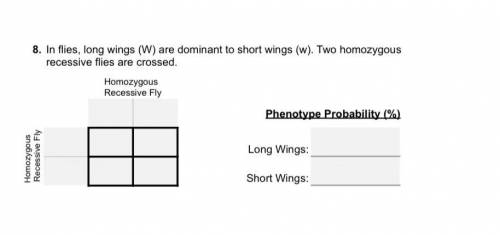 In files, long wings (W) are dominant to short wings (w). please help and show work