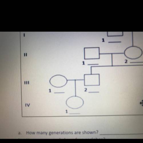 2

11
3
4
1
2
IV
+
2.
1
a. How many generations are shown?
b. How many people have free earlobes?