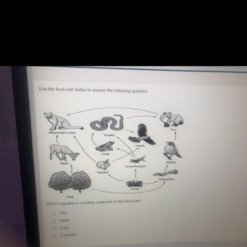 Use the following food web below to answer the following question. Which organism is a tertiary con