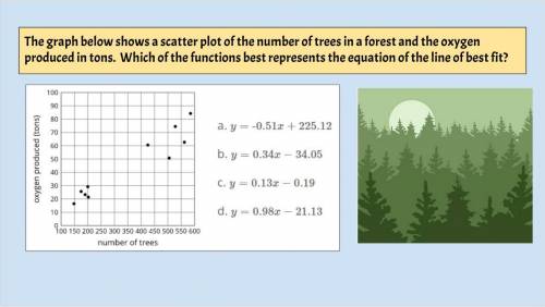 The graph below shows a scatter plot of the number of trees in a forest and the oxygen produced in