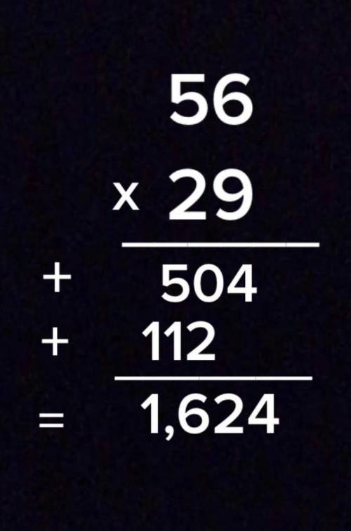 What is 56 times 29
pls help :(
