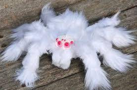 I want this even tho i dont like spiders!