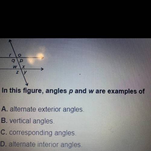 Using the figure, angels p and w are example of 
Answer :)
