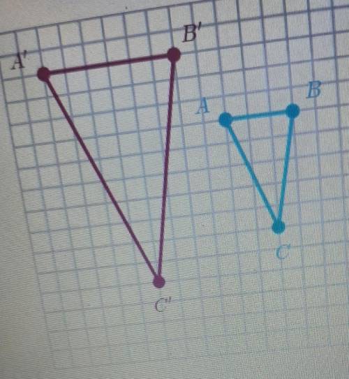 Triangle A'B'C' is the image of Triangle ABC under a dilation what is the scale factor of the dilat