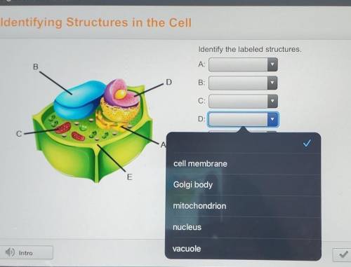 Identifying Structures in the Cell Identify the labeled structures.

A: B:C: D: E:​