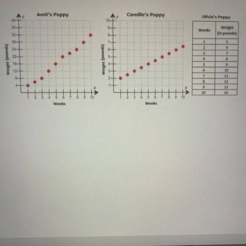 Which two relationships have a y-intercept and a constant rate of change?