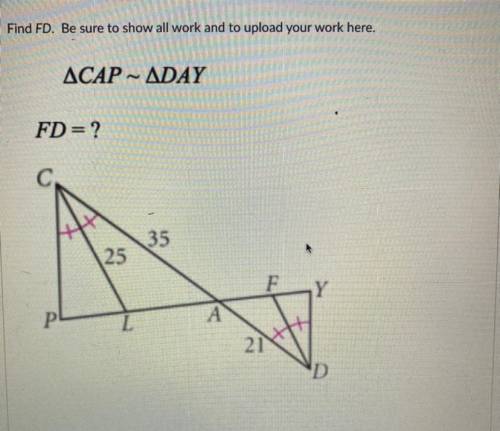 PLEASE HELP WITH THIS QUESTION AND PLEASE SHOW WORK ASAP