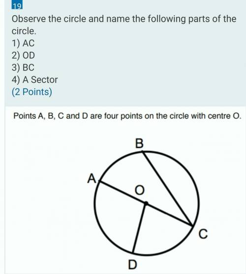 Help this one is very hard and its im my final exam pls now i need answers help me​