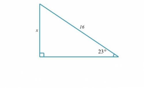 Solve for x in the triangle. round to the nearest tenth