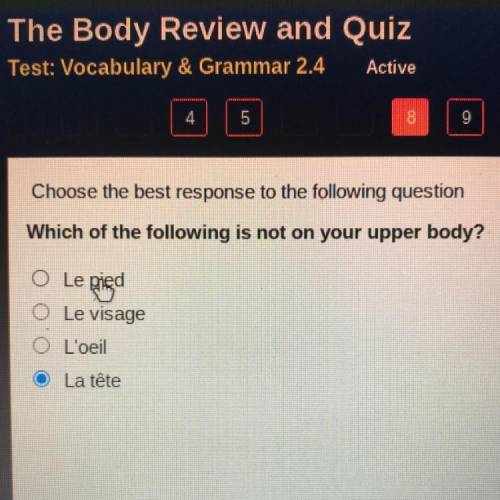 Choose the best response to the following question

Which of the following is not on your upper bo