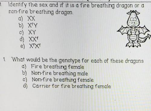 Genetics: pls help!

In dragons, fire breathing is a sex linked (x- linked) trait. Fire breathing