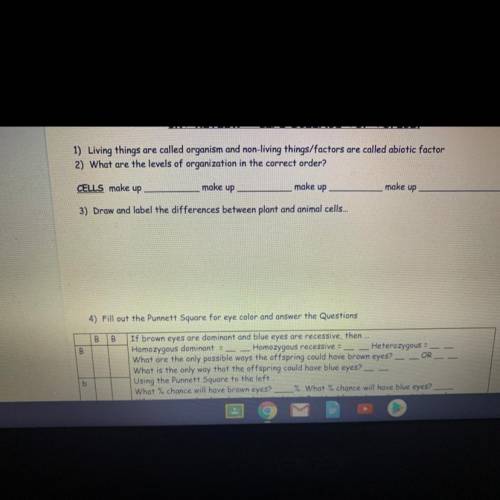 I need help with my homework really bad I don’t understand it