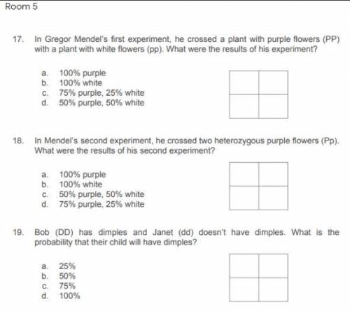 Help please- and thank you! this is an escape room worksheet ive been struggling on