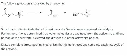 WILL GIVE A LOT OF POINTS, draw the arrow pushing mechanism for one complete catalytics cycle of th