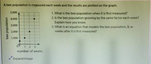 A bee population is measured each week and the results are plotted on the graph​