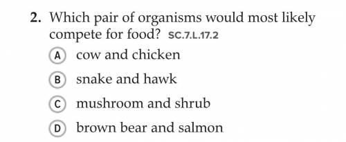 Which pair of organisms would most likely compete for food?