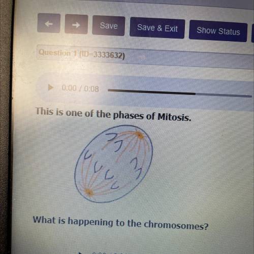 This is one of the phases of Mitosis.

P 7
Vuv
w
What is happening to the chromosomes?