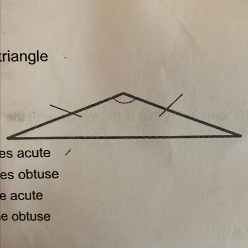 1. Classify the triangle

A isosceles acute
B isosceles obtuse
C scalene acute
D scalene obtuse