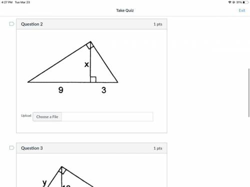 I need help with quiz