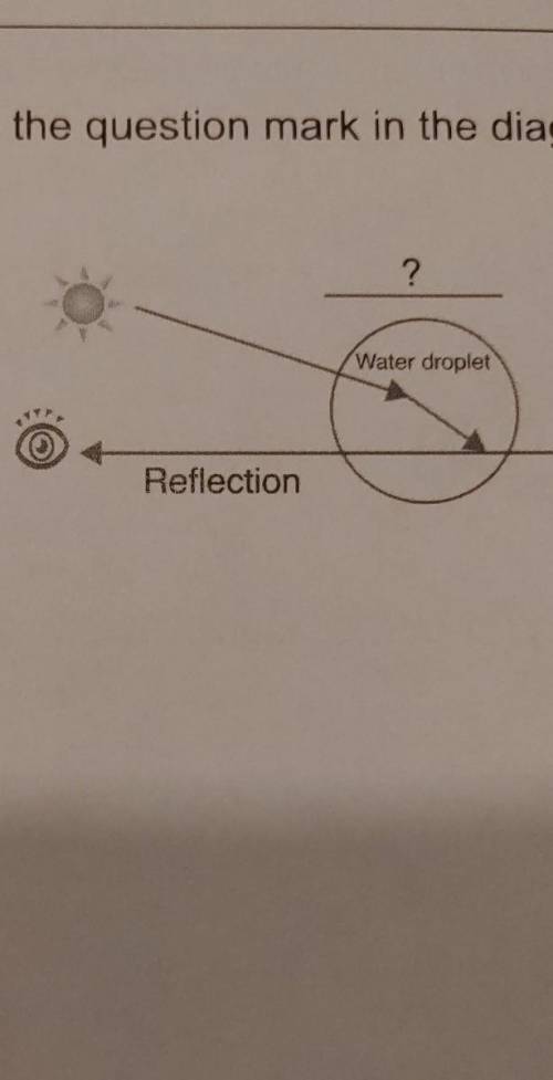 5 Which word should replace the question mark in the diagram? ? Water droplet Reflection А Refracti