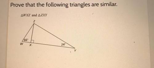 Prove that the following triangles are similar.