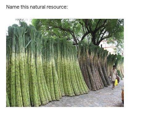 What is this natural resource in the picture below?