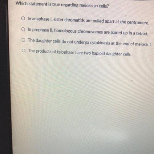 Which statement is true regarding meiosis in cells?

O In anaphase I, sister chromatids are pulled