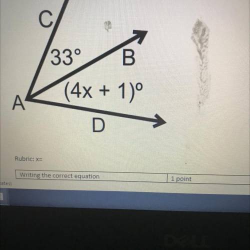 1. In the figure below, AB is an angle bisector. What is the value of x? (3 points)