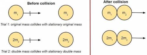 There are two sets of tennis balls - one set in which both tennis balls are of equal mass and one s