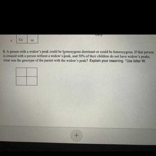 This is my last question and I’m struggling!