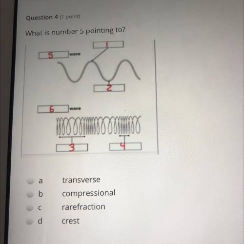 What is number 5 pointing to?