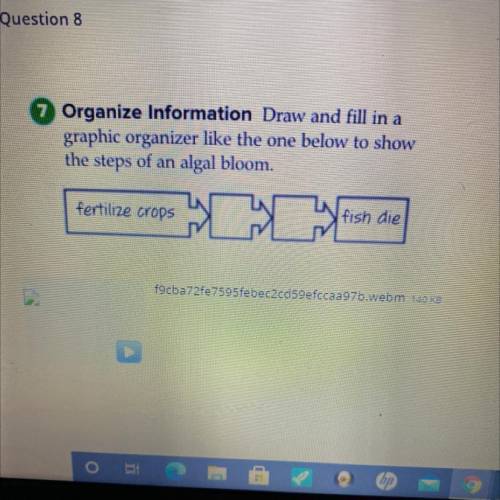 Does anyone know the answer I need help