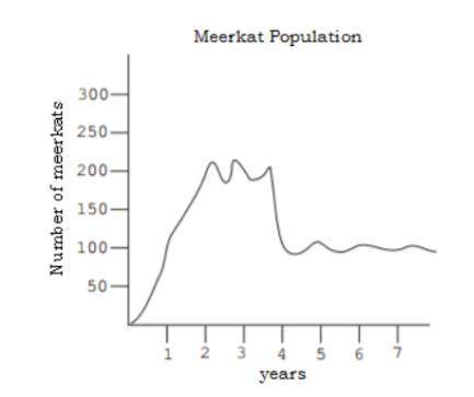 Below is a carrying capacity graph of a meerkat population in an African savanna. Meerkats are omni