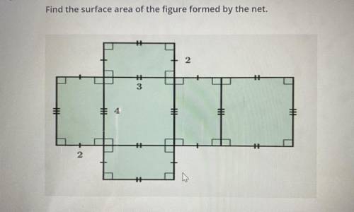 Find the surface area of the figure formed by the net.