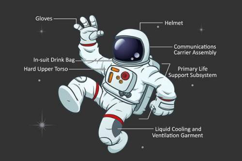 To travel to space, you need more than just the clothes on your back! Astronauts put on spacesuits