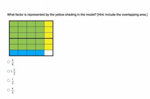 Help me [ppleasee]

What factor is represented by the yellow shading in the model? [Hint: Include