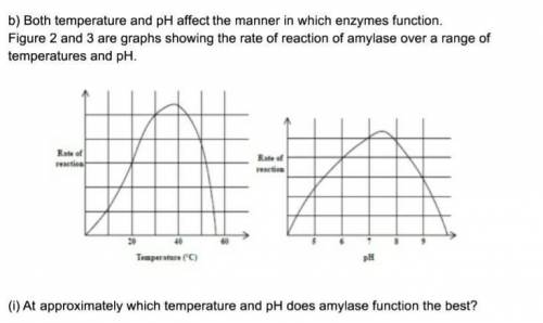 Enzyme function temperature and ph​