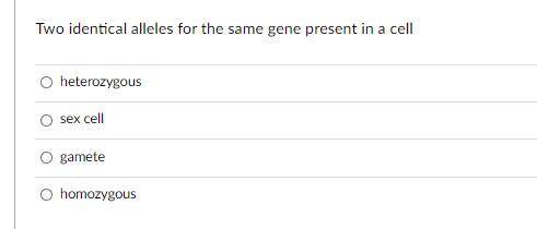 Two identical alleles for the same gene present in a cell